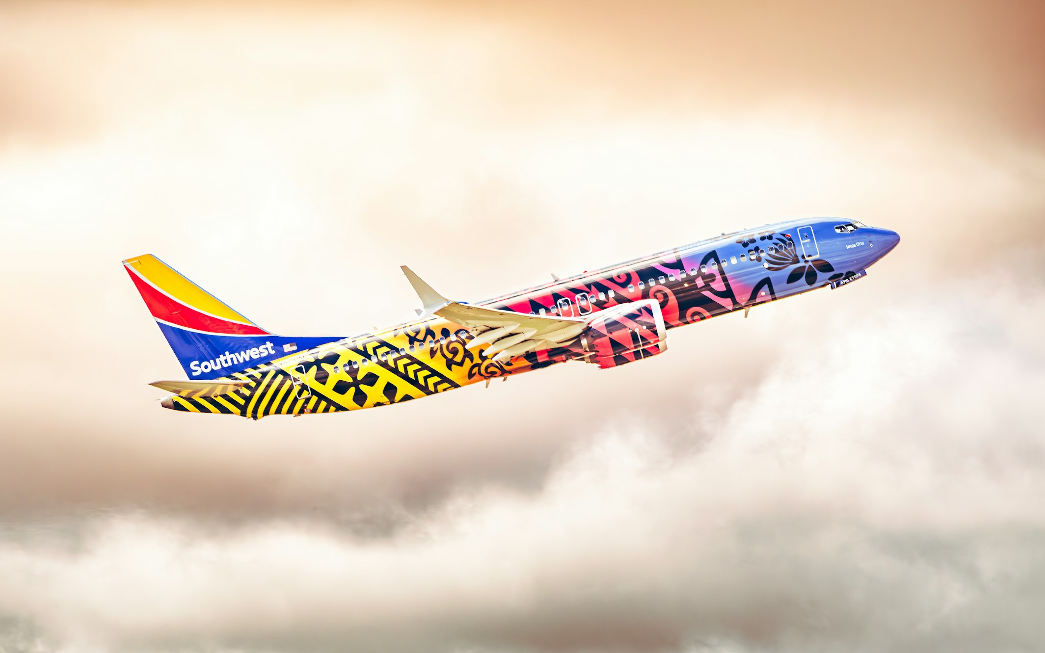 Boeing 737 MAX 8 (iFly)